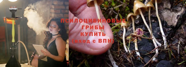 MESCALINE Новодвинск