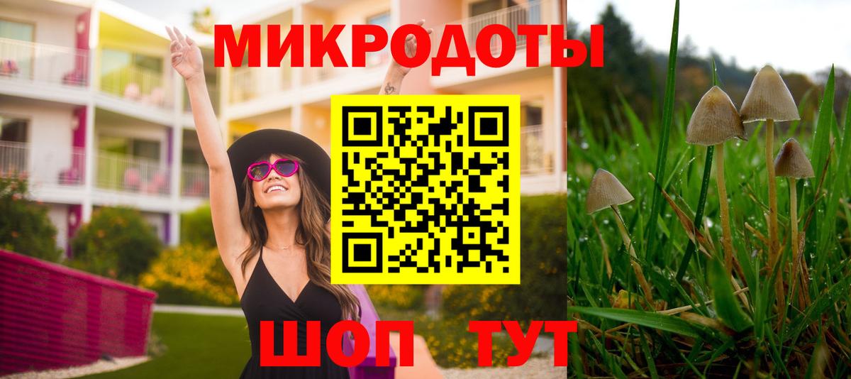 Псилоцибиновые грибы GOLDEN TEACHER  Вход с VPN  Галлюциногенные грибы GOLDEN TEACHER  Прохладный 