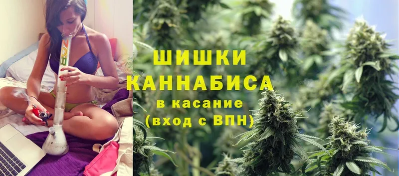 закладка  Прохладный  Каннабис SATIVA & INDICA 